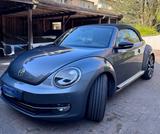 Volkswagen New Beetle - Volkswagen New Beetle: Grau