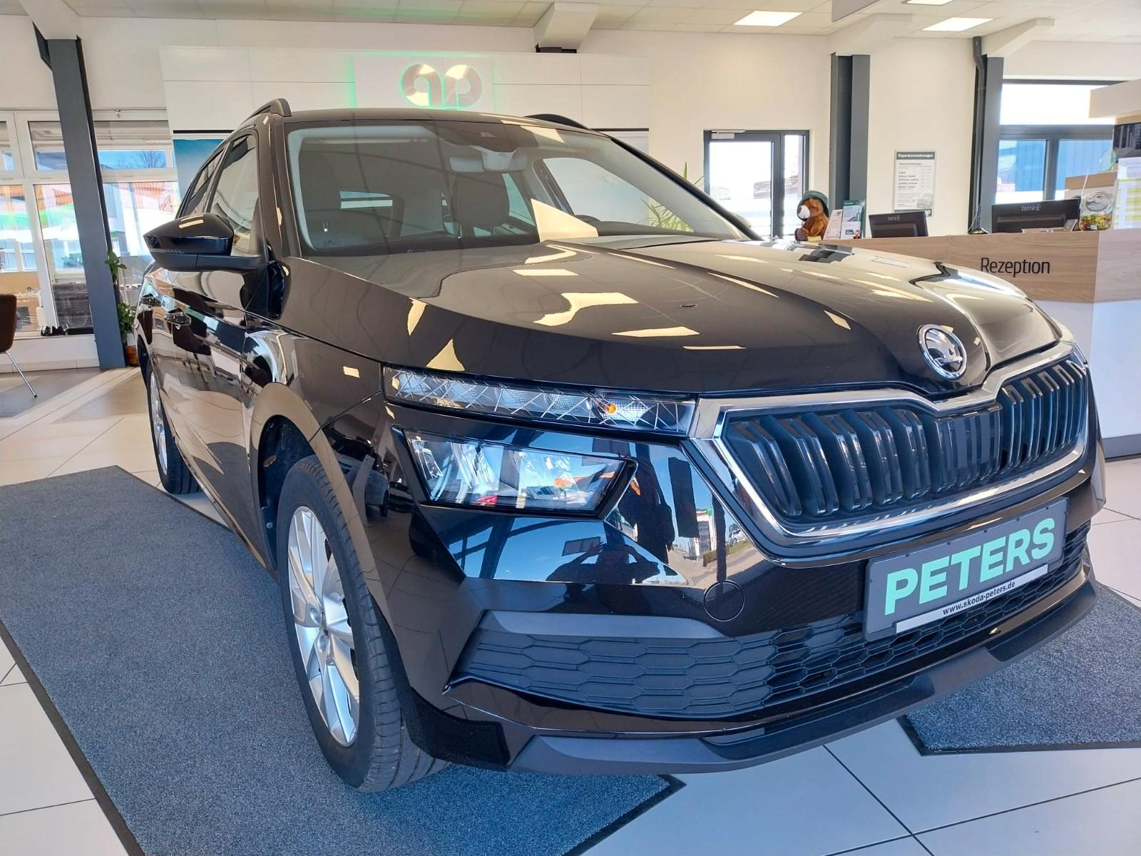 Skoda Kamiq TSI CLEVER AHK Tempomat Spurhalteassist