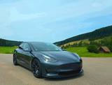 Tesla Model 3 Allradantrieb mit Dualmotor Performa... - Tesla Model 3 in Freiburg