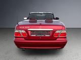 Mercedes-Benz CLK 320 AVANTGARDE - Mercedes-Benz CLK 320: Avantgarde