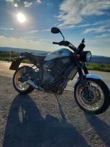 Yamaha yamaha XSR 700 Xtribute - Offers matching your search criteria
