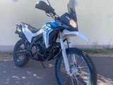 VOGE Rally 300 - VOGE MOTORRAD