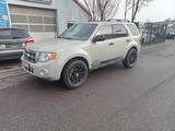 Ford Escape - Ford Escape Gebrauchtwagen