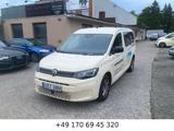 Volkswagen Caddy Basis Maxi ,TOP ZUSTAND - Volkswagen Caddy: Taxi