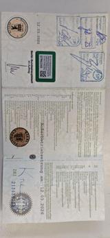 Skoda Fabia Clever 1.0 TSI Airbags Ok Motor läuft - Skoda: Unfallwagen