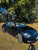Volkswagen Käfer - Volkswagen Käfer: Roadster