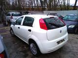 Fiat Punto 1.2 8V POP KLIMA - Fiat Punto Gebrauchtwagen in Mannheim