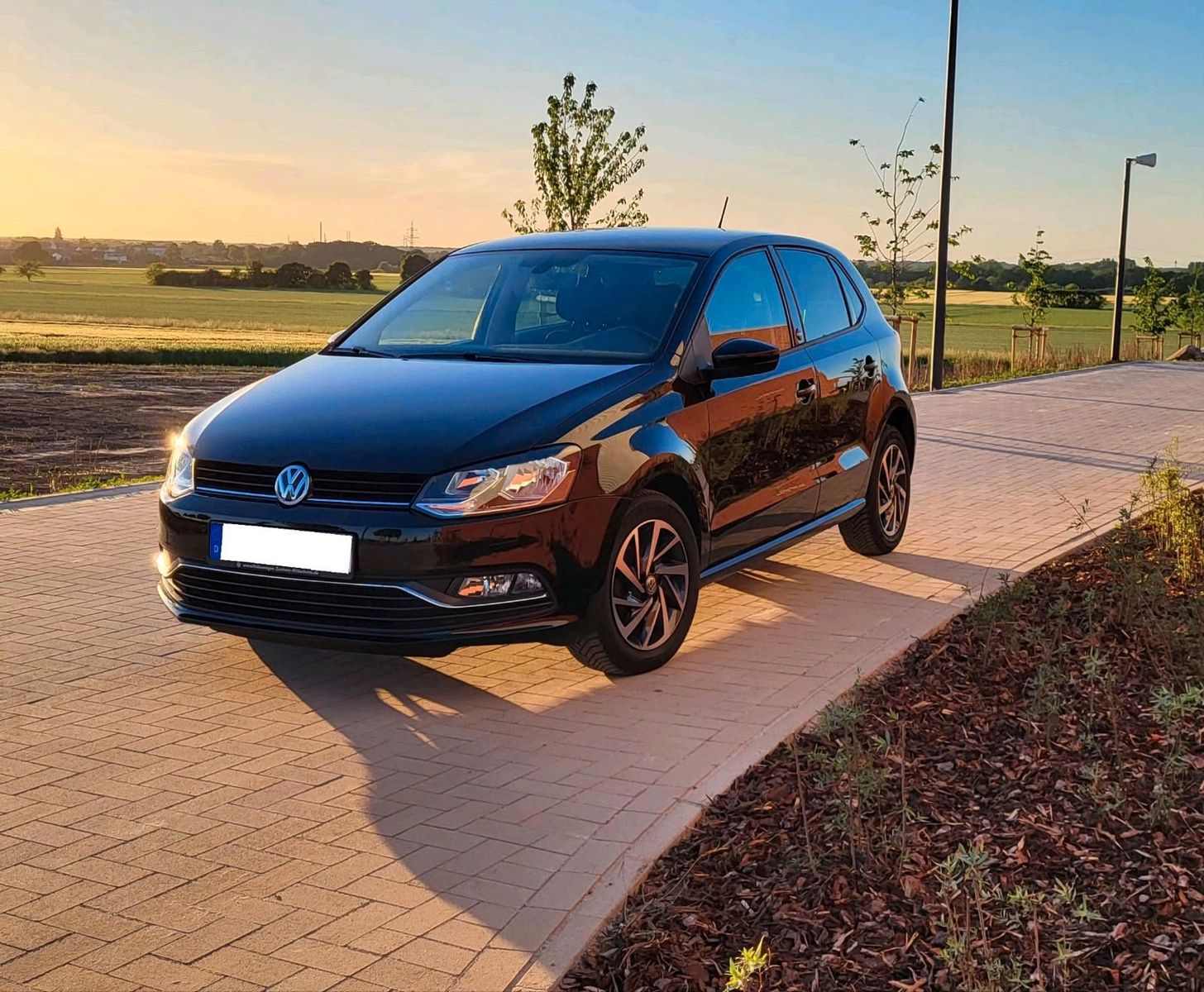 VW Polo