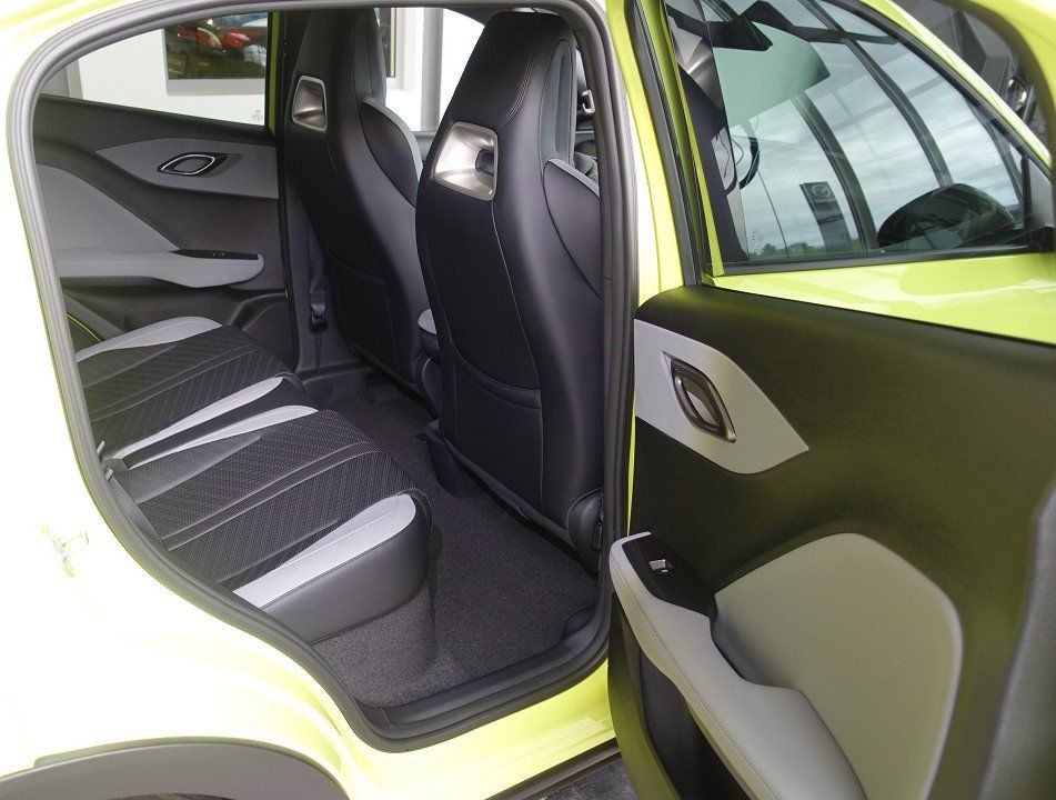 BYD DOLPHIN SURF