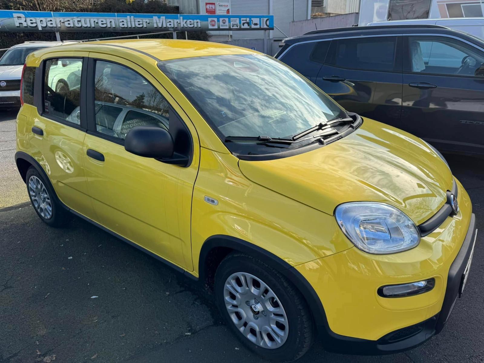 Fiat Panda Pandina Cross