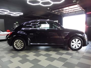 Volkswagen Beetle - 5