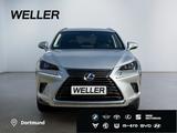 Lexus NX 300h Executive Line *Bi-LED*CAM*Leder*el Sitz - Lexus NX 300 in Hannover