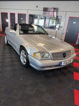 Mercedes-Benz SL 500 Silver Arrow  - Mercedes-Benz SL-Klasse Gebrauchtwagen in Berlin