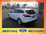 Ford Focus Titanium Navi Kamera Winter-Paket - Ford Focus Gebrauchtwagen in Hamm