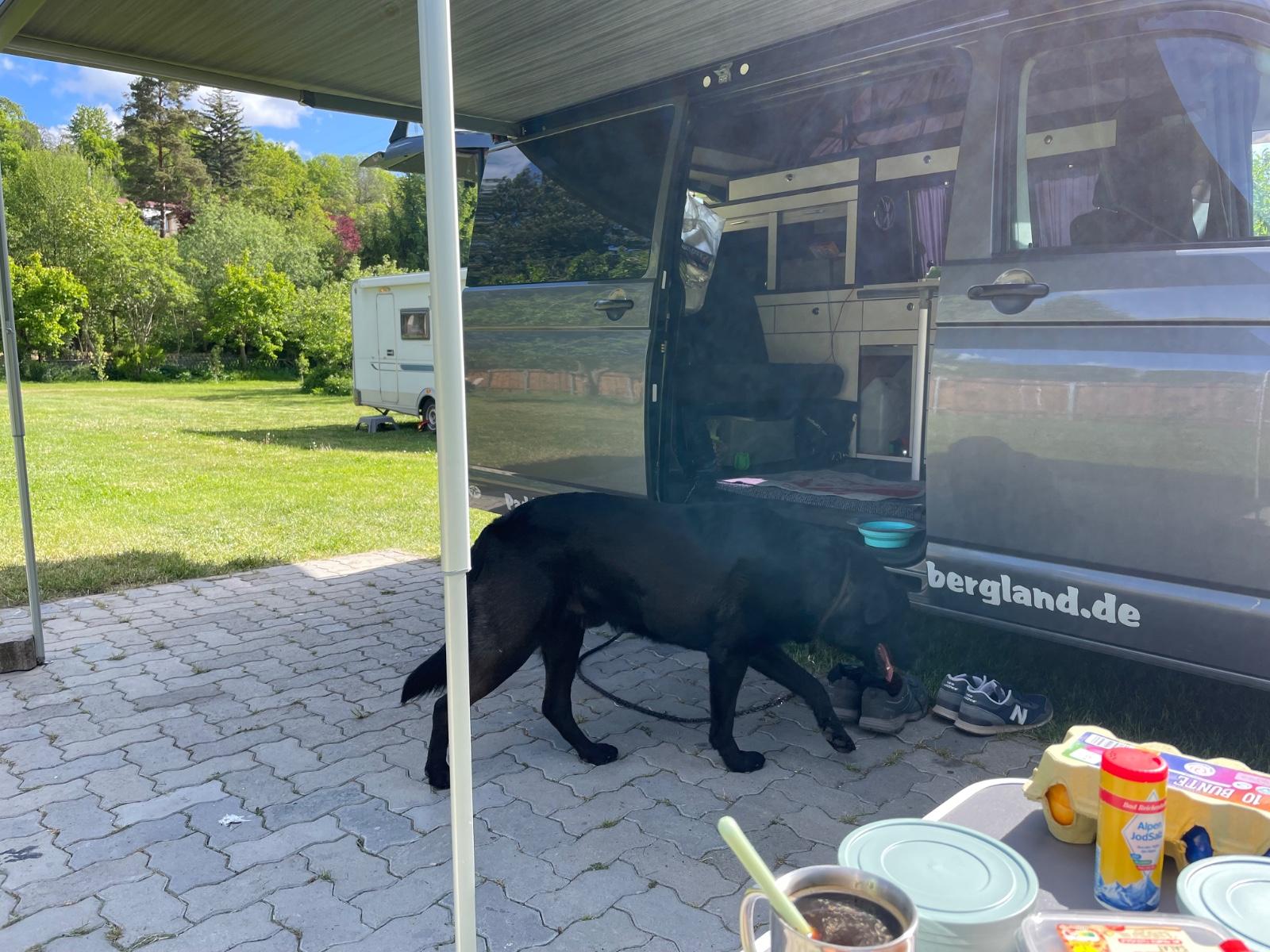 Volkswagen VW T5.2 Camper mit Aufstelldach | 2.0 TDI/102 PS
