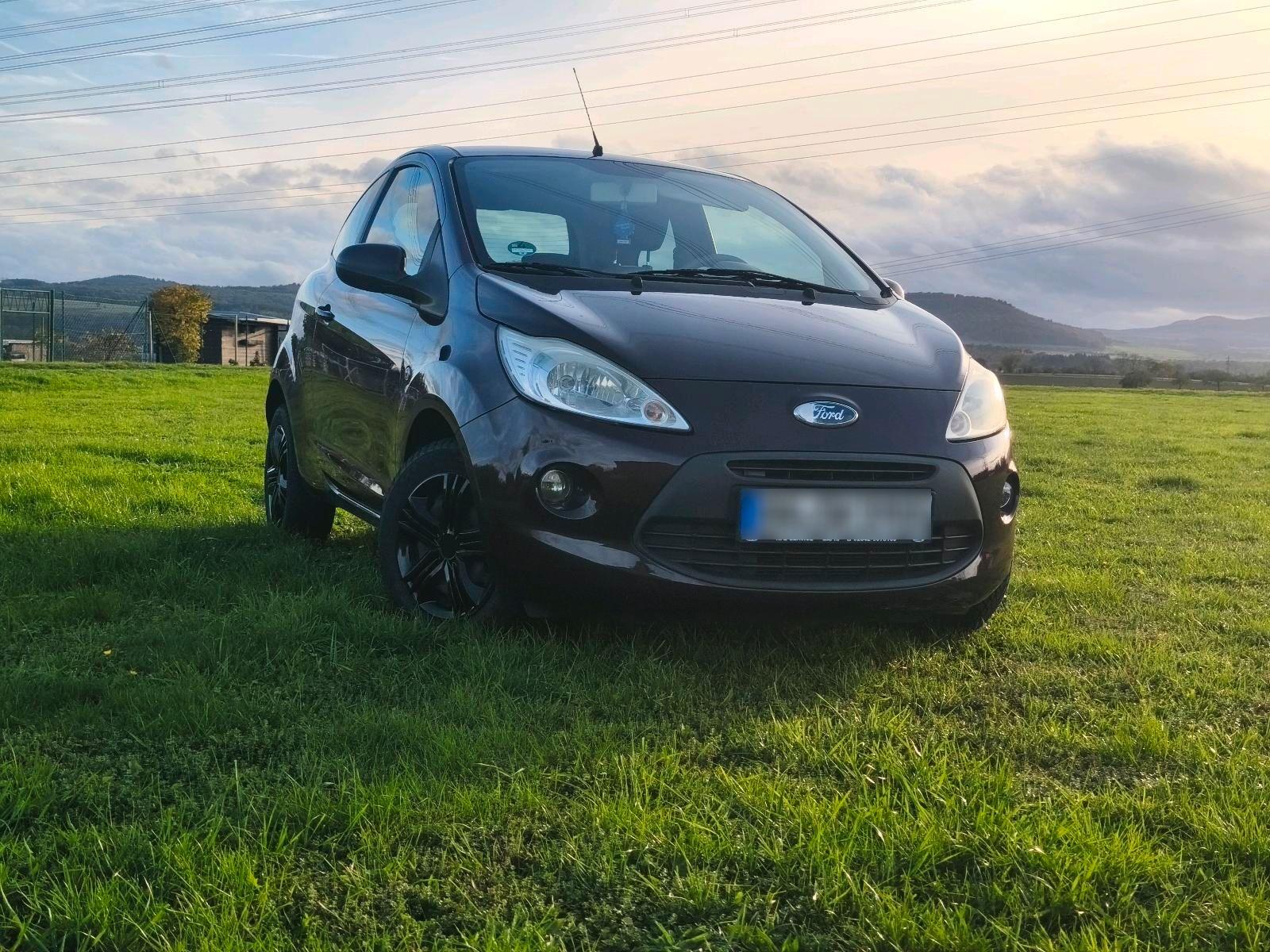 Ford Andere