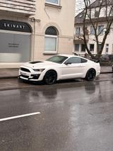 Ford FORD MUSTANG GT SHELBY - V8 - USA - Ford Mustang Gebrauchtwagen in Bielefeld