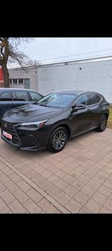 Lexus NX 350h 350h Executive Line Executive Line - Lexus aus 2024: Nx
