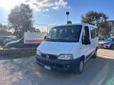 Fiat Ducato 2.8 JTD Panorama 9posti -2002 - gebrauchte Fiat Ducato aus dem Jahr 2002