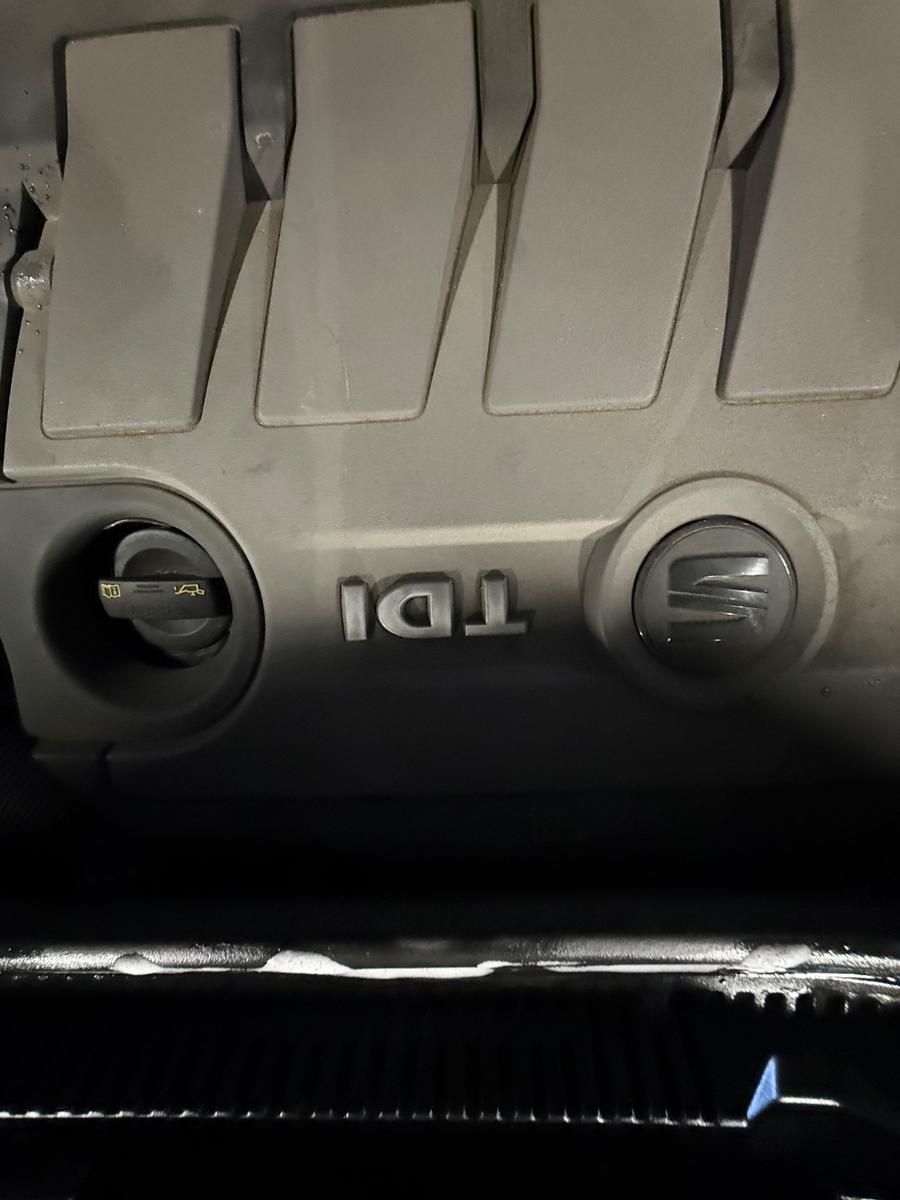 Seat Ibiza 2004 — photo 15