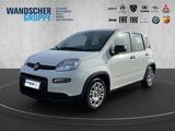 Fiat Panda 1.0 Mild Hybrid MY24 PDC TEMPOMAT SPURHALT - Fiat Panda: Weiß