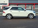 Mercedes-Benz ML 350 CDI BlueTec sehr gepflegt Vollaustattung - Mercedes-Benz ML 350: Bluetec