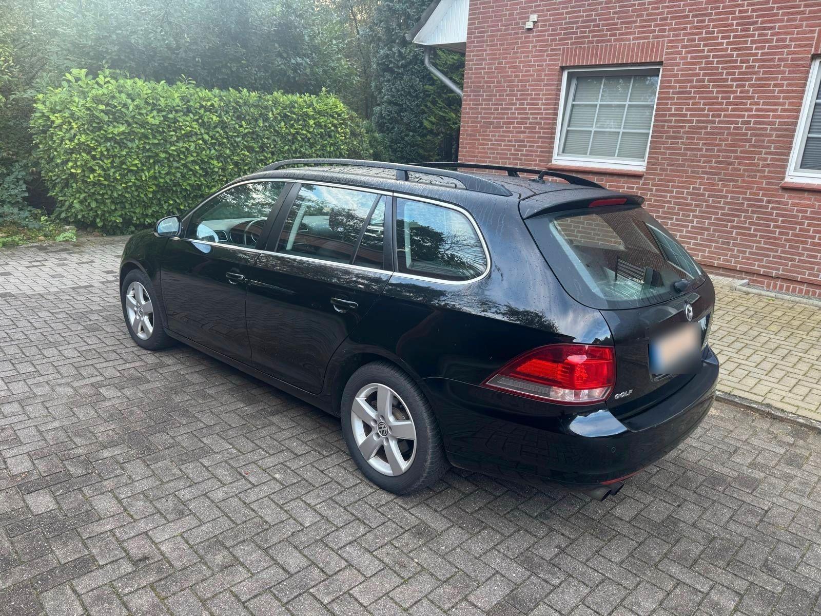 Volkswagen Golf 2010 — rear view