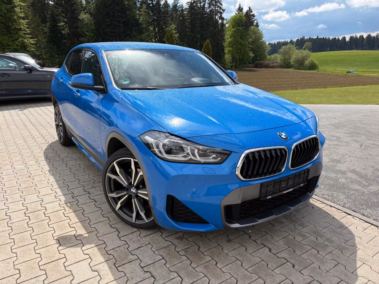BMW X2 xDrive 25 d M Sport X LED ACC LRH HUD H&K