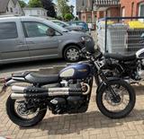 Triumph NEU!!! Street Scrambler 900 GoldLine Edition 