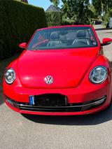 Volkswagen Beetle 1.2 TSI BMT Design Cabriolet Design - Volkswagen Beetle: Rot, Cabrio