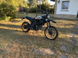 Ducati Scrambler Desert Sled inkl. Zubehör - DUCATI SCRAMBLER