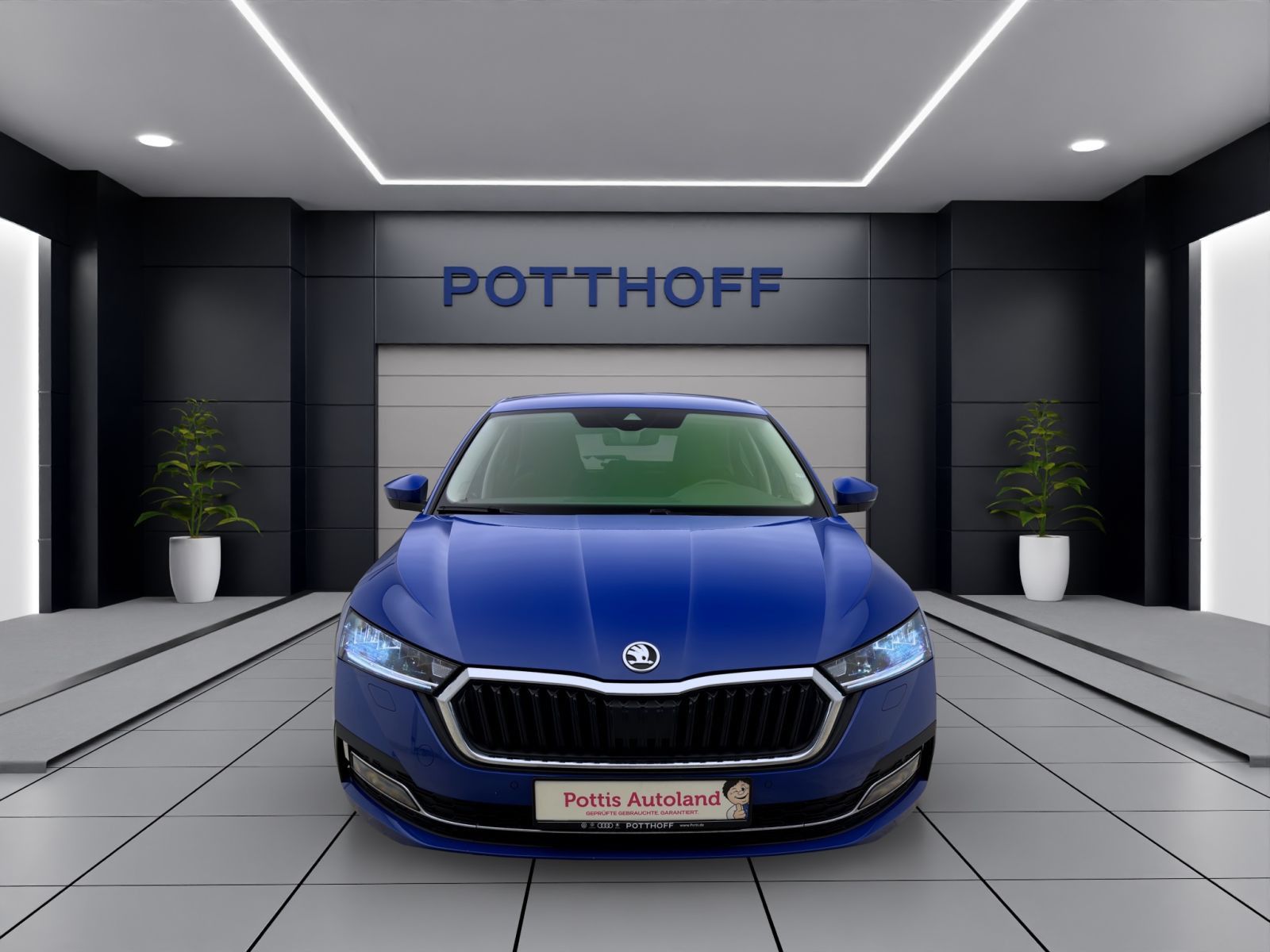 Skoda Octavia - Bild 8