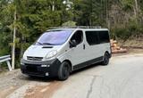 Opel Vivaro, 1.9dci, 101 PS, 9 Sitzplätze,... - Opel Vivaro in Ludwigshafen