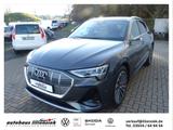 Audi e-tron 55 quattro 300KW S line AHK/LED/PDC - graue Audi e-tron