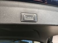 Cupra Terramar - Vorschau Bild 7