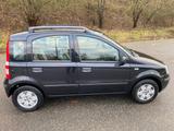 Fiat Panda 169 - 1. Hand - 01/2010 - TÜV/H... - Fiat Panda in Kiel