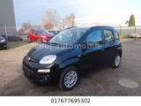 Fiat Panda Easy - gebrauchte Fiat Panda aus dem Jahr 2016