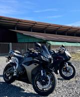 Honda CBR 600 RR PC40 - Offers