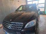 Mercedes-Benz Mercedes ML 350 - : Mercedes Ml