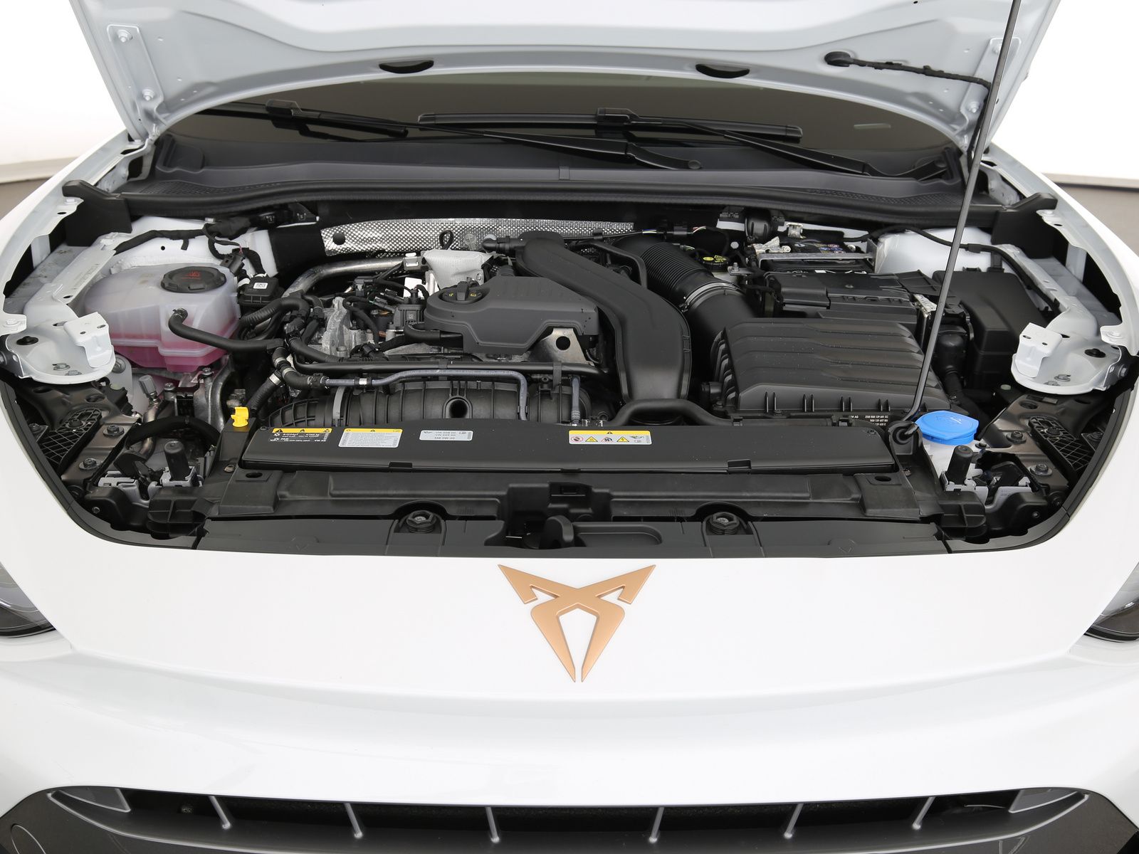 Cupra Leon - Bild 29