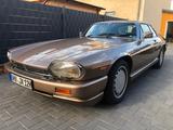 Jaguar XJS - Jaguar XJS von privat
