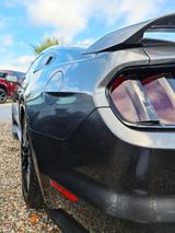 Ford Mustang GT | Shelby GT350 Performance | Einzelst - Ford Mustang: 350gt