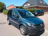 Volkswagen Caddy PKW BMT, Autom.,ACC, AHK Standhg Sitzhg. - : Standheizung, Pkw