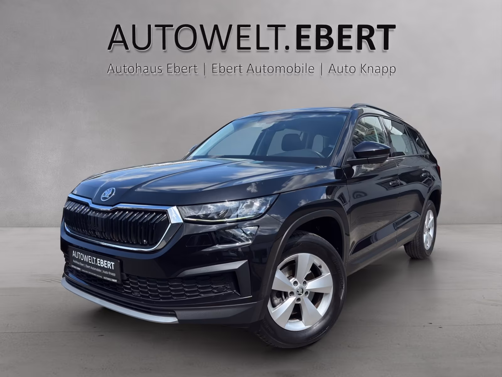 Skoda Kodiaq 2.0 TDI DSG/SHZ/SMART-LINK/PDC/