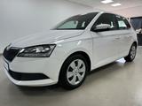 Skoda Fabia Ambition*NAVI*KLIMA*ASST*APPLE*DAB*8F*SF* - Skoda Fabia Gebrauchtwagen in Mannheim