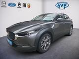 Mazda CX-30 Selection NAVI ACC - graue Mazda CX-30