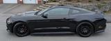 Ford Mustang EcoBoost | kein US-Imp. | Tiefer| Maxton - Ford Mustang: Us