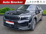 Skoda Kodiaq 1.5 TSI mHEV DSG Selection EU6e Navi LED - Skoda Neuwagen: Eu