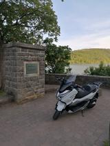 Honda Forza 300 - HONDA FORZA 300
