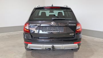 Skoda Octavia - 5